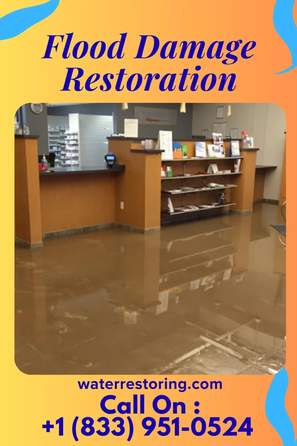 Flood Damage Restoration in Holly Ridge, NC