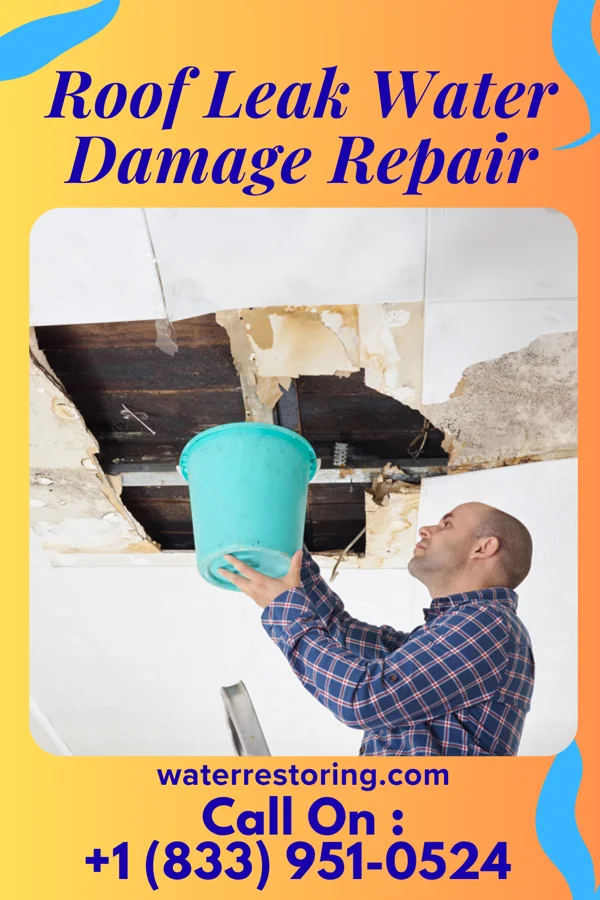 Roof Leak Water Damage Repair in Holly Ridge, NC