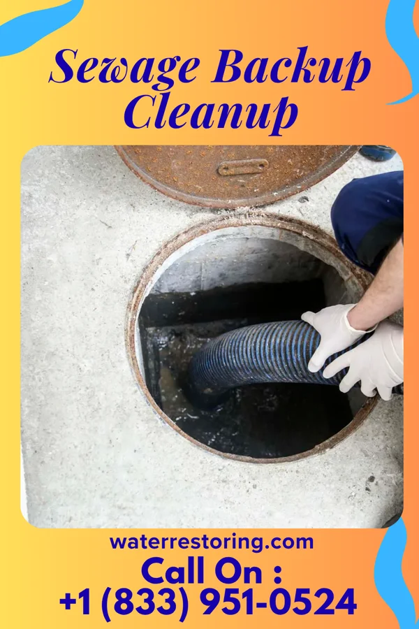 Sewage Backup Cleanup in Holly Ridge, NC